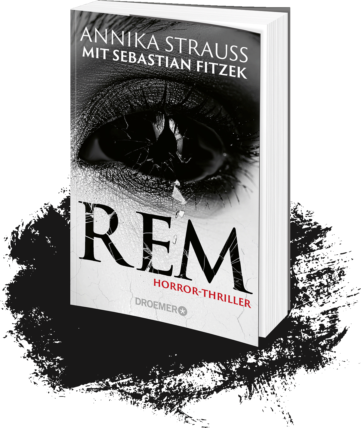 Fitzek Strauss - REM Cover